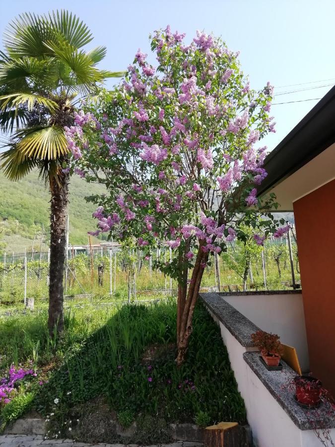 Alloggio Cristina Valdobbiadene Exterior foto